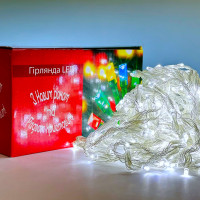 Світлодіодна гірлянда Xmas Водоспад 3m*3m 480 Led Білий від 220V