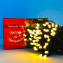 Світлодіодна гірлянда Xmas Вулична 10m 100 Led Тепла від 220V