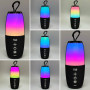 Портативна колонка TG644 радіо, RGB підсвітка, з функцією гучного зв'язку (19,5*8,0*6,0 см)