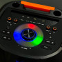 Колонка VIP JT-1230 з RGB-підсвічуванням та 2-ма мікрофонами (43.0*43.0*11.5см)