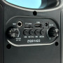 Колонка ZQS-1423 Bluetooth з мікрофоном (25,0*19,0 см)