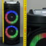Колонка Sing-e ZQS6212 RGB з мікрофоном 10W*2, 3000mAh (19,6*19,6*51,2 см)