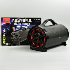 Колонка Sing-e ZQS5103 Powerful Bass Boost 30W, 3000mAh (26,9*18,5*14,4 см)