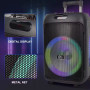 Колонка Sing-e ZQS12148 RGB 50W, 6000mAh з 2-ма мікрофонами (50,0*34,0*27,0 см)