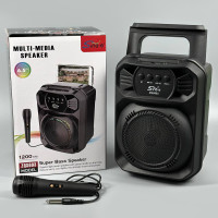 Колонка Sing-e ZQS603 RGB 10W, 1200mAh з мікрофоном (27,1*19,8*16,3 см)