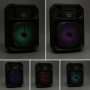 Колонка Sing-e ZQS603 RGB 10W, 1200mAh з мікрофоном (27,1*19,8*16,3 см)