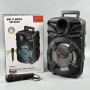 Колонка Sing-e ZQS805 RGB 20W, 3000mAh з мікрофоном (37,2*23,8*19,8 см)