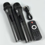 Колонка Sing-e ZQS8231 RGB 30W*2, 6000mAh з 2-ма мікрофонами та пультом (90,1*31,4*29,1 см)