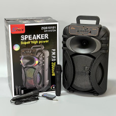 Колонка Sing-e ZQS10101 RGB 20W, 3000mAh з 2-ма мікрофонами та пультом (44,3*29,3*23,8 см)