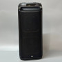 Колонка Sing-e ZQS10220 RGB 50W*2, 6000mAh з 2-ма мікрофонами та пультом (84,0*36,0*36,0 см)