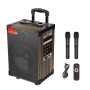Колонка Sing-e JQS910S 50W, 5000mAh з 2-ма мікрофонами та пультом (49,6*31,0*27,2 см)