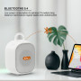 Колонка Sing-e CQS D21 15W, 2500mAh з мікрофоном (16,0*10,8*8,2 см)