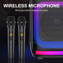 Колонка Sing-e ZQS8281 RGB 40W, 3000mAh з 2-ма мікрофонами та пультом (62,9*27,0*26,5 см)