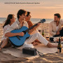 Колонка Middleton W3 Bluetooth 1200mAh (23,0*10,9*9,5 см)