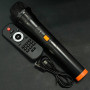 Колонка Sing-e ZQS8210 RGB 20W*2, 4500mAh з мікрофоном та пультом (29,5*27,5*75,0 см)