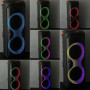 Колонка Sing-e ZQS10215 з RGB-підсвічуванням та 2-ма мікрофонами (38*36,7*92 см)
