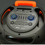 Колонка Sing-e ZQS10215 з RGB-підсвічуванням та 2-ма мікрофонами (38*36,7*92 см)