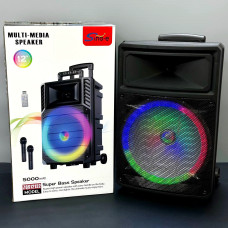 Колонка Sing-e ZQS12131 з RGB-підсвічуванням та 2-ма мікрофонами (26*32,7*51,5 см)