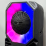 Колонка Sing-e ZQS4260 з RGB-підсвічуванням та мікрофоном (16,1*14,6*38,3 см)