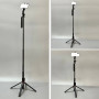 Монопод (трипод) P325 на штативі з 2-ма пультами Bluetooth (360° Rotating Pan Tilt) 2.2m