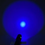 Ліхтар 213-365UV Blue light (18650, Type-C)