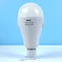 Світлодіодна лампа, для кемпінгу LED FAT-3920 Bulb 20W  (2 акумулятори 18650 - 6500K, патрон)