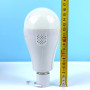 Світлодіодна лампа, для кемпінгу LED FAT-3920 Bulb 20W  (2 акумулятори 18650 - 6500K, патрон)