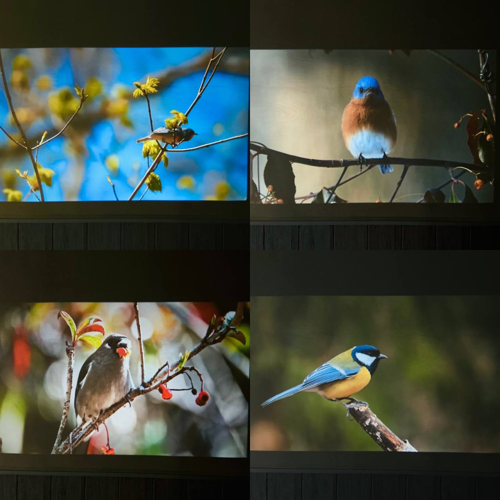 Проектор + Game S40Max 4K (Android 11, 450 ANSI, Bluetooth + WiFi, 1080P)