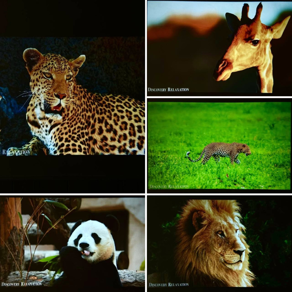 Проектор + Game P30 Plus (Android 11, 240 Lumen, Bluetooth + WiFi) (1Gb+8Gb)