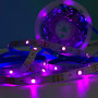 Світлодіодна стрічка LED WS2812 RGB 30m 540Led, 5V USB з Bluetooth контролером та пультом дистанційного керування