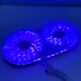 Світлодіодна стрічка (силіконова) RGB-IC Smart Led Neon Rope Light 5m Bluetooth, 12V-220V з пультом дистанційного керування, IP67