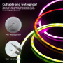 УЦІНКА Силіконова стрічка Led Neon RGB+Warm White (5m, Bluetooth, з пультом, від USB, IP67) (працює на половину)