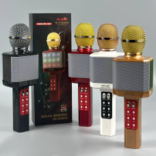 Мікрофон DM Караоке WS1828