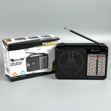 Портативне Радіо Golon RX-607AC 5 хвиль, від мережі (16,0*10,0*6,0 см)