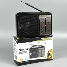 Портативне Радіо Golon RX-606AC 5 хвиль, від мережі (16,0*10,0*6,0 см)