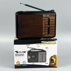 Портативне Радіо Golon  RX-608AC 5 хвиль, від мережі (16,0*10,0*5,5 см)