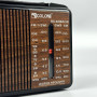 Портативне Радіо Golon  RX-608AC 5 хвиль, від мережі (16,0*10,0*5,5 см)