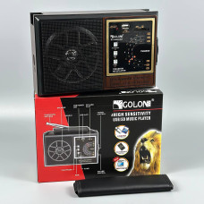 Портативне Радіо Golon RX-9922UAR з акумулятором (21,5*13,5*7,5 см)