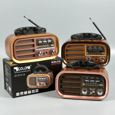 Портативне Радіо Golon RX-BT638 з акумулятором (17,0*9,0*7,5 см)