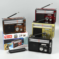 Портативне Радіо Golon RX-381 з 2-ма ліхтарями, акумулятором (16,0*10,0*7,0 см)