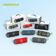 Портативна колонка HOPESTAR P36 Bluetooth з радіо 24,8*9,0*8,6 см 