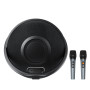 Колонка AceFast K5 Max з 2-ма мікрофонами (39,3*20,8*36,6 см)