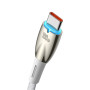 Data Cable Baseus Glimmer Series  Type-C 100W 2m (CADH000501)