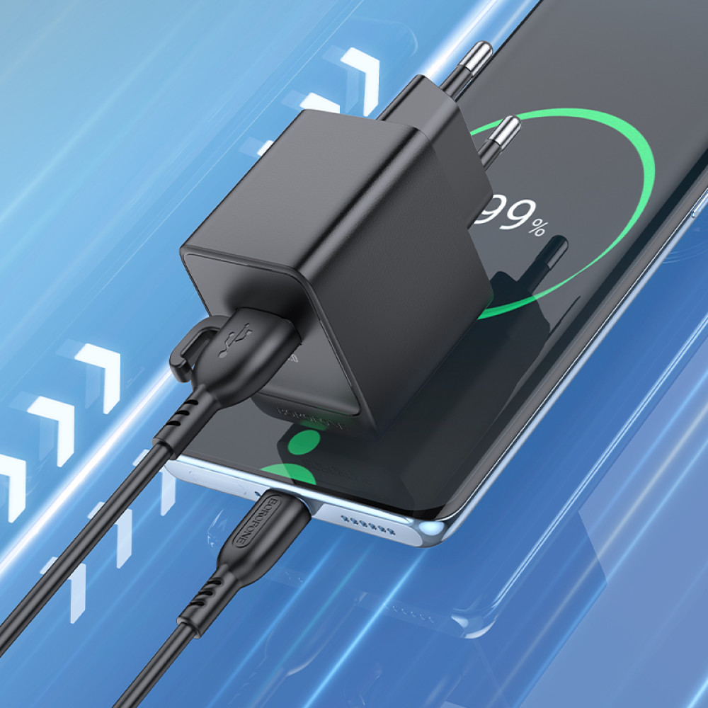 Мережевий зарядний пристрій Borofone BAS12A Erudite QC3.0 Type-C