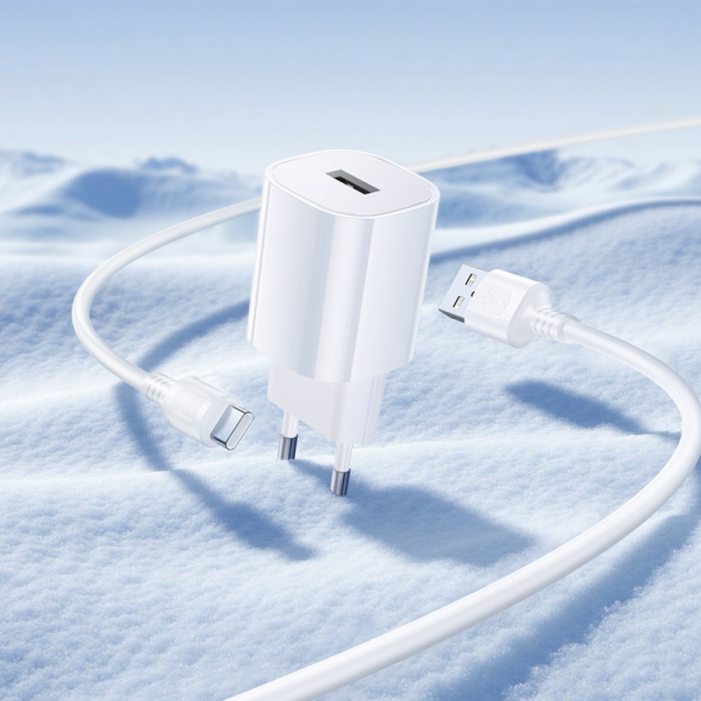 Мережевий зарядний пристрій Borofone BA101A Pudding 10.5W Type-C