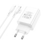 Мережевий зарядний пристрій Borofone BA21A Pro Long journey PD20W Type-C to Lightning 