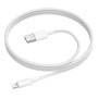 Data Cable Borofone BX117 Source Lightning 1m