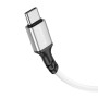 Data Cable Borofone BX83 Famous silicone Type-C 1m