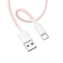 Data Cable Borofone BX117 Source Type-C 1m