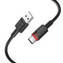 Data Cable Borofone BX110 Beneficio Type-C 1m